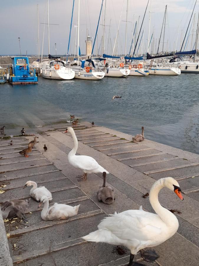 Villa Elisa Lago E Monti Carzago Riviera Buitenkant foto